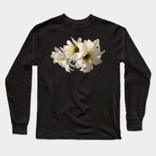 Daisies - White Daisies in Sunshine Long Sleeve T-Shirt